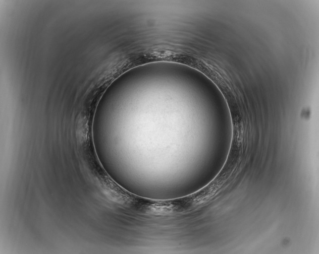 X0000099560606200805161454