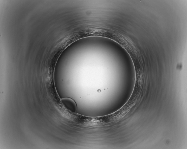 X0000099560607200805161454