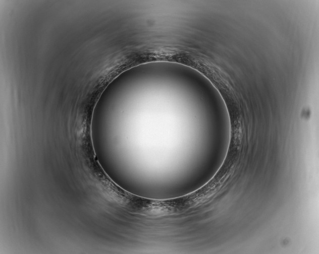 X0000099560608200805161454