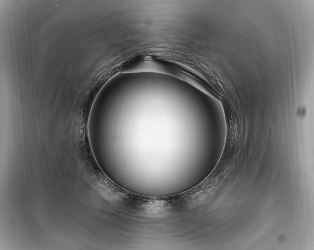 X0000099560609200805161454