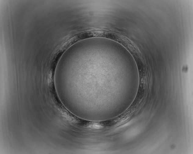 X0000099560610200805161454