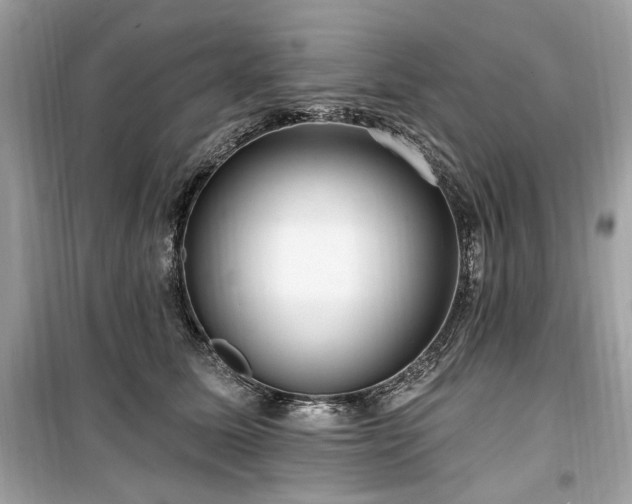 X0000099560611200805161454