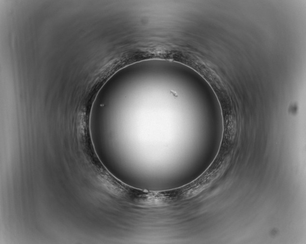 X0000099560612200805161454