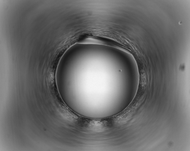 X0000099560613200805161454