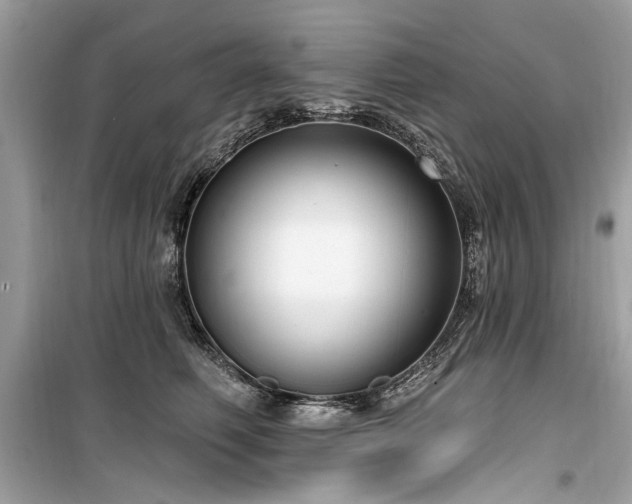 X0000099560614200805161454