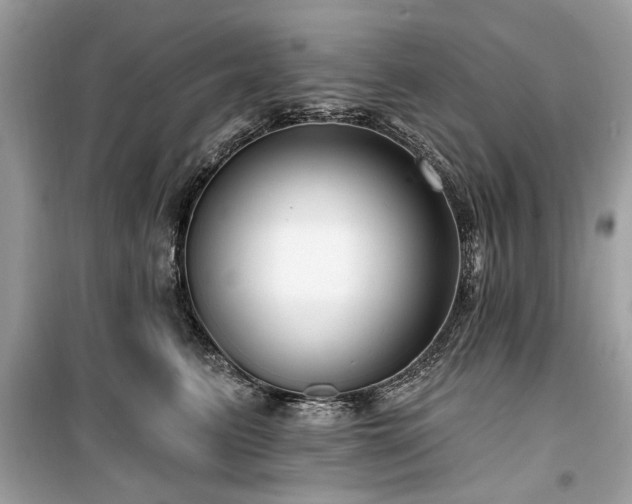 X0000099560615200805161454