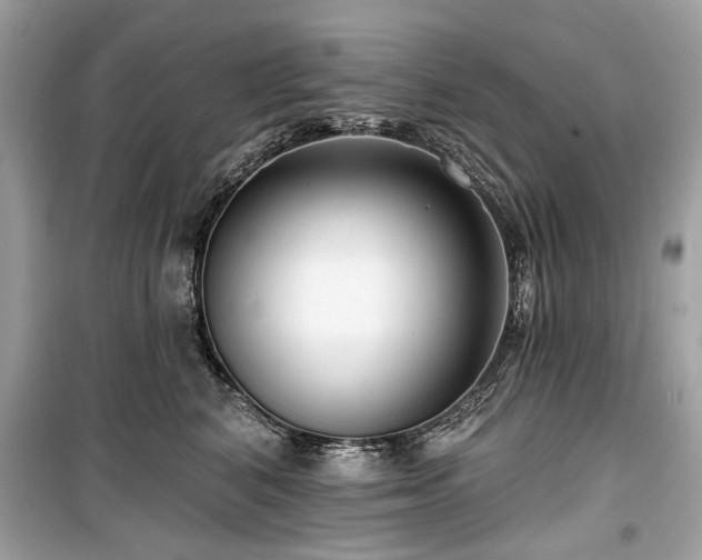 X0000099560616200805161454