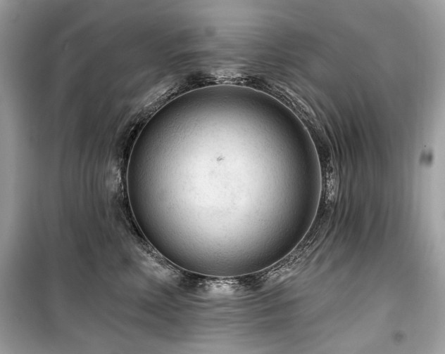 X0000099560618200805161454