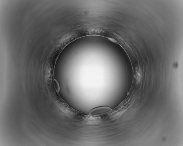 X0000099560619200805161454