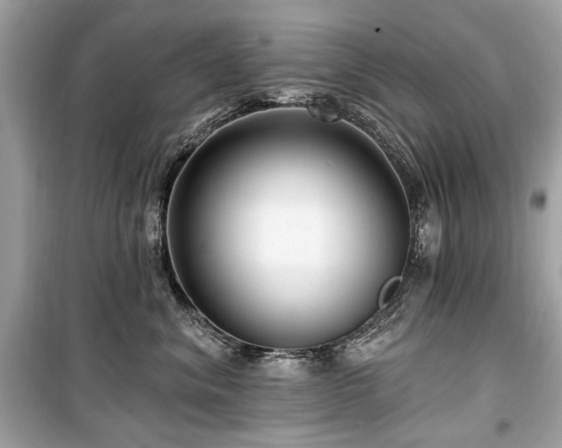 X0000099560620200805161454