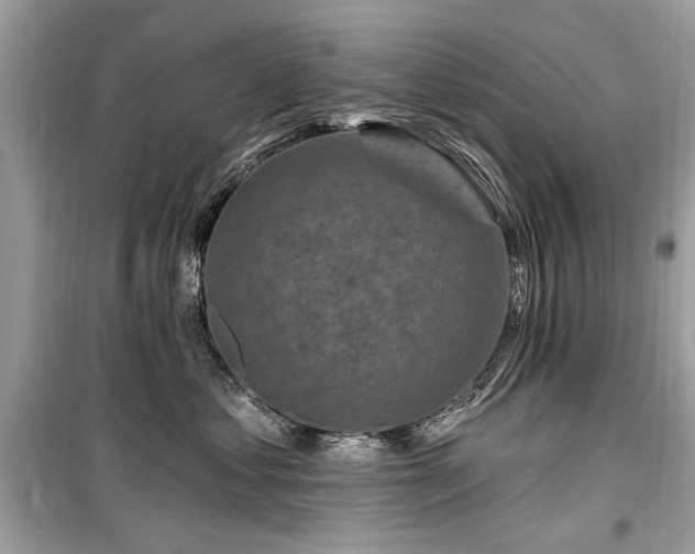 X0000099560621200805161454