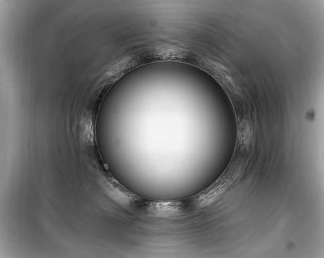 X0000099560622200805161454