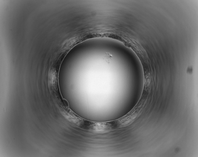 X0000099560623200805161454