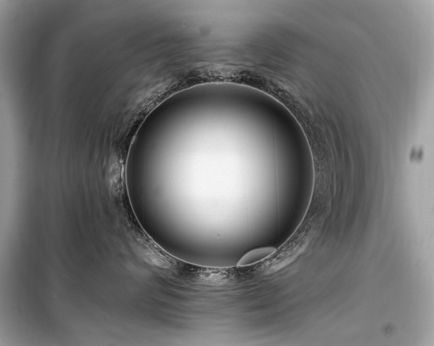 X0000099560624200805161454