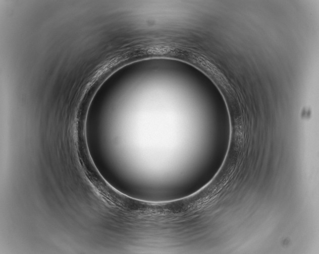 X0000099560626200805161453