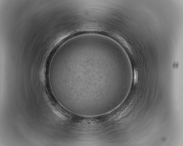 X0000099560627200805161453