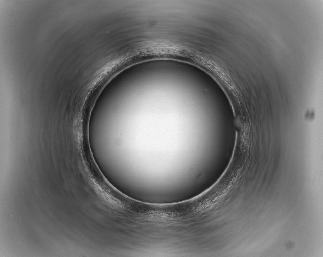 X0000099560629200805161453