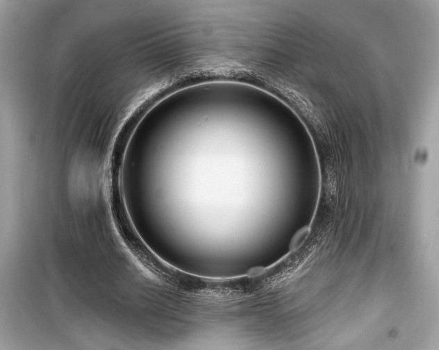 X0000099560630200805161453