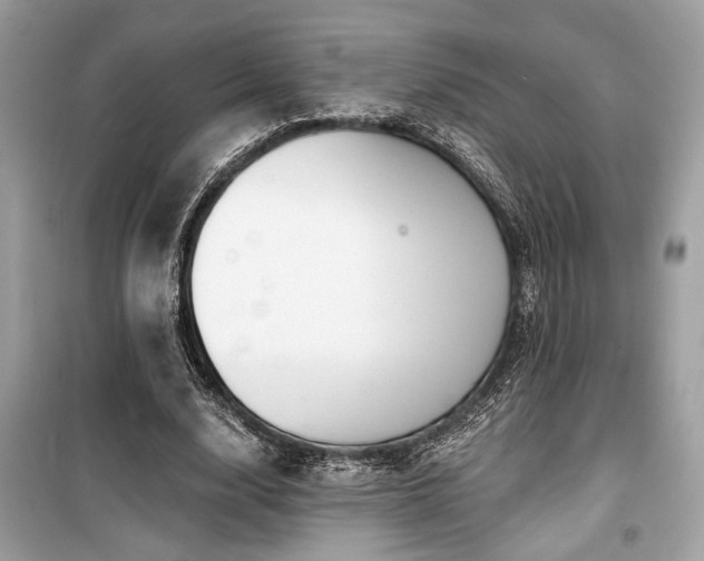 X0000099560632200805161453