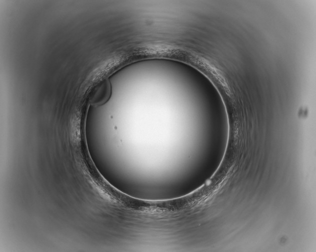 X0000099560633200805161453