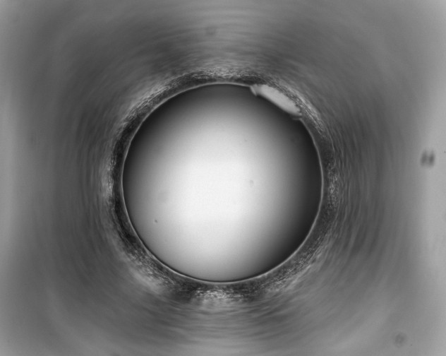 X0000099560635200805161453