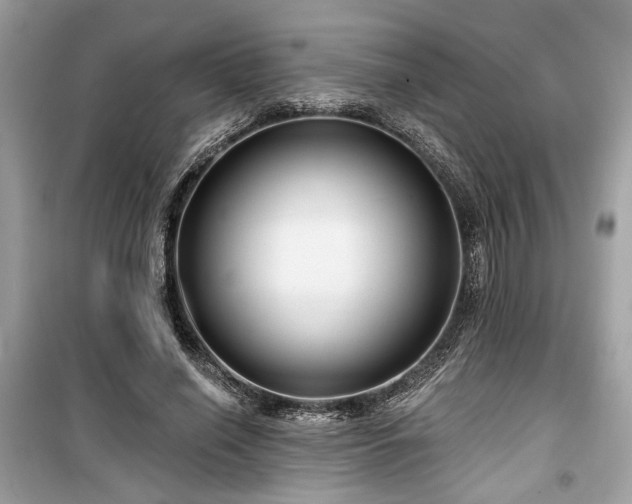 X0000099560638200805161453