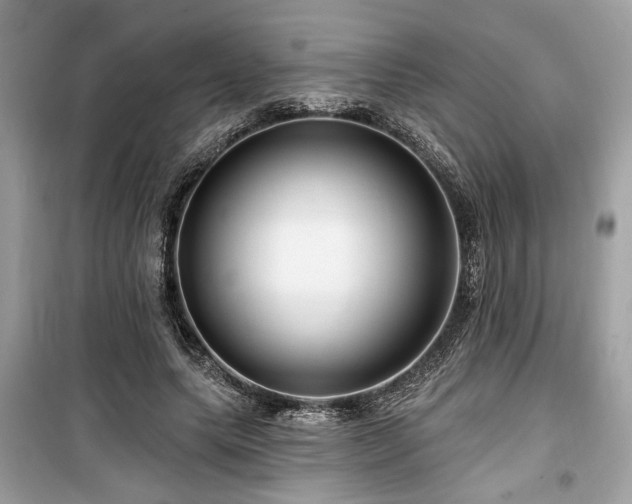 X0000099560639200805161453