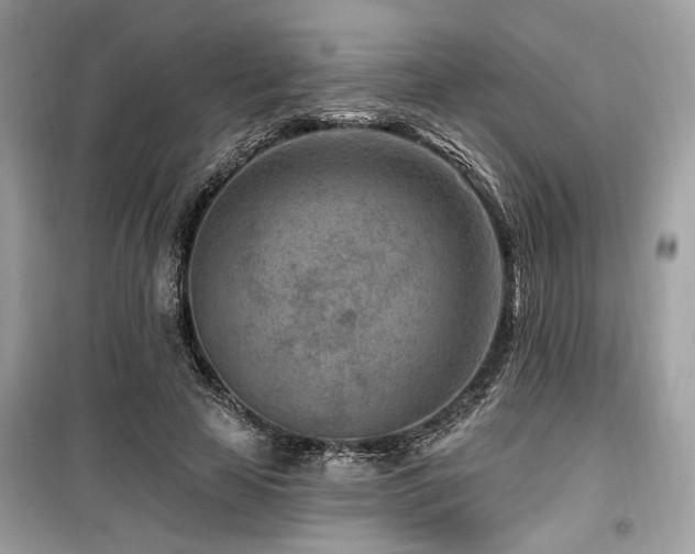 X0000099560641200805161454