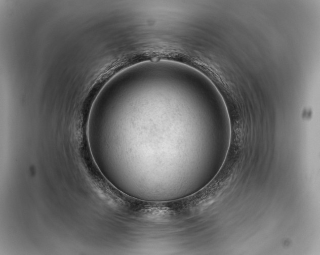 X0000099560642200805161454