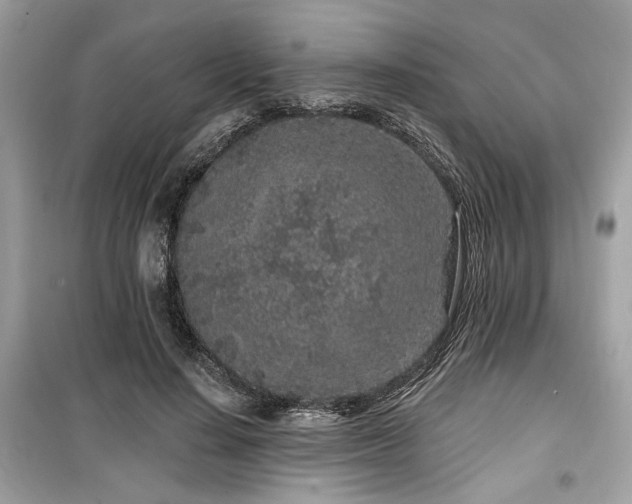 X0000099560644200805161454