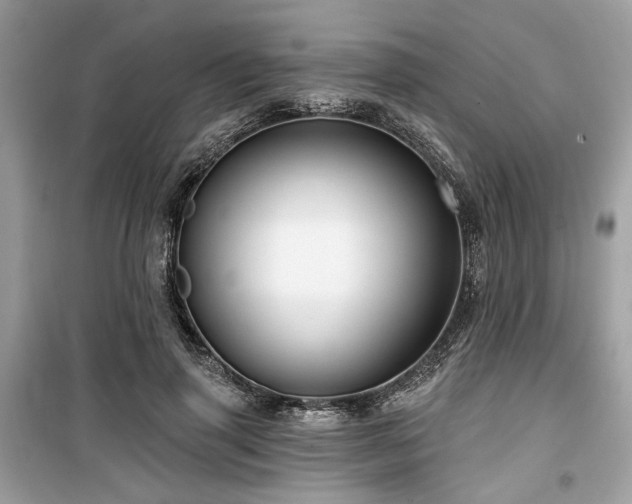 X0000099560645200805161454