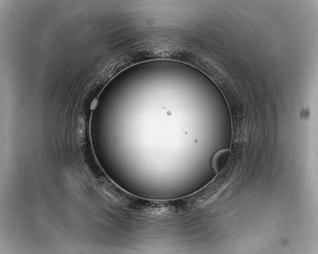 X0000099560646200805161454