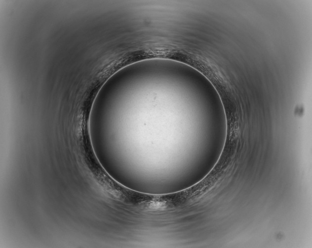 X0000099560647200805161454