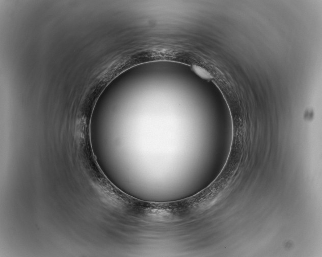 X0000099560649200805161454