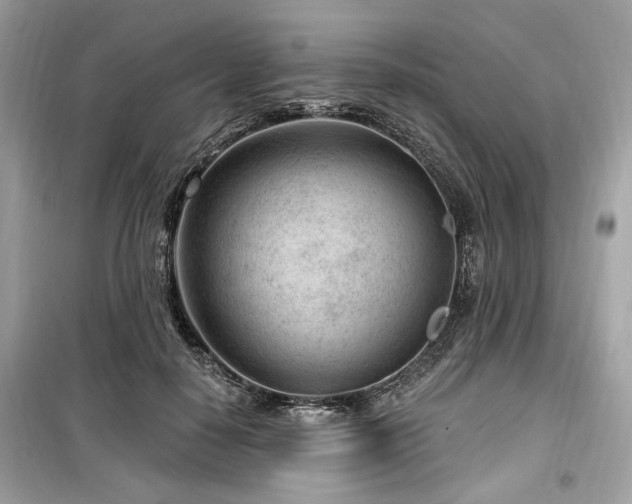 X0000099560650200805161454