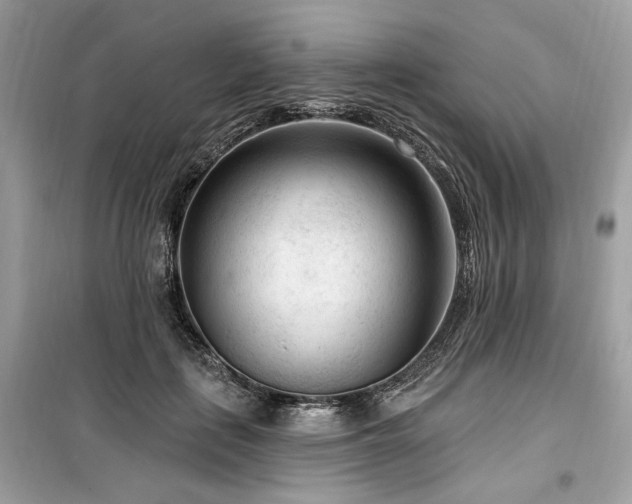 X0000099560651200805161454