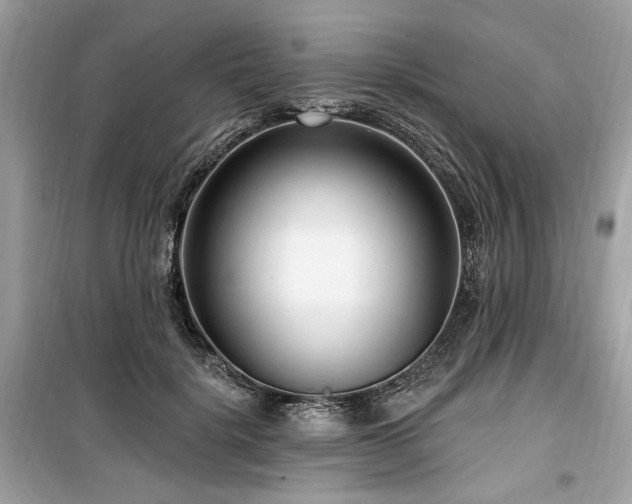 X0000099560652200805161454