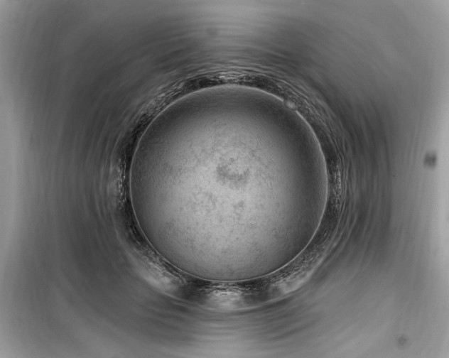 X0000099560653200805161454