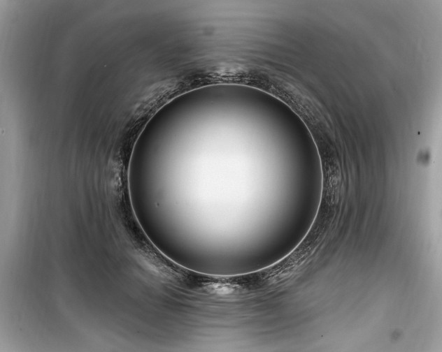 X0000099560654200805161454