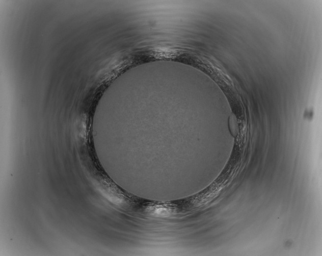 X0000099560655200805161454