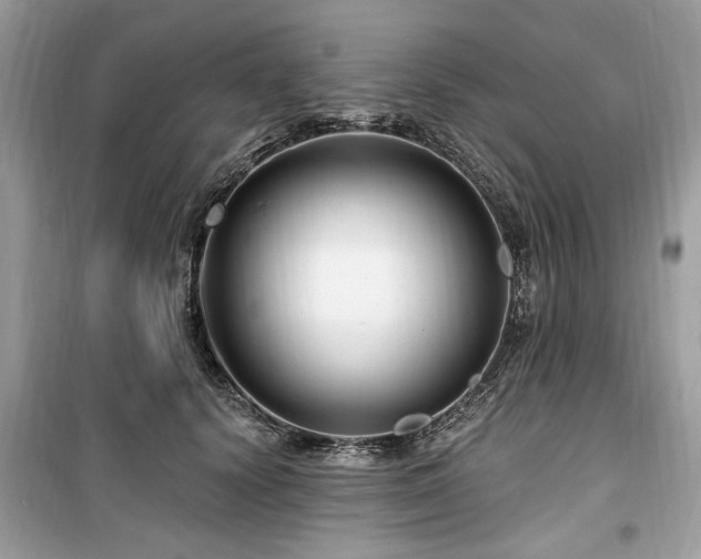 X0000099560656200805161454