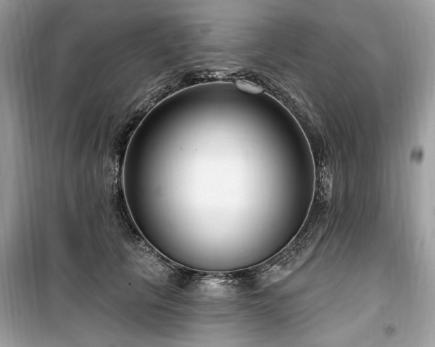 X0000099560657200805161454