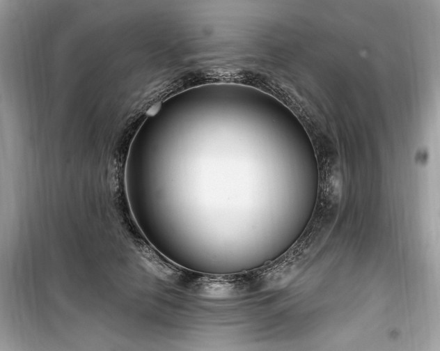 X0000099560658200805161454