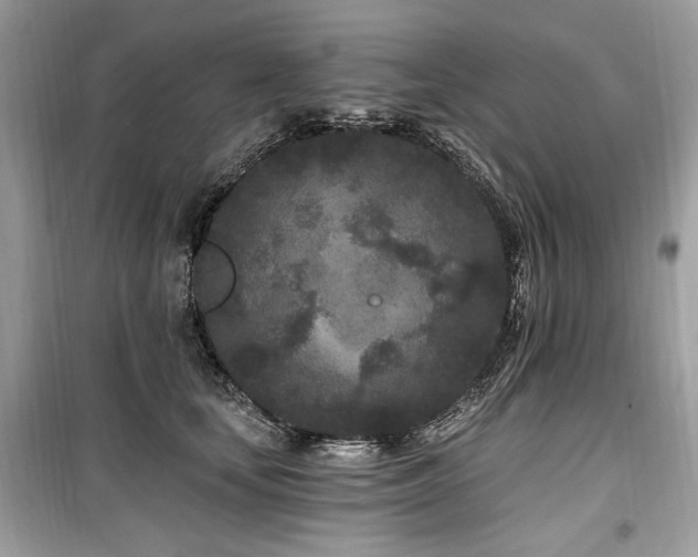 X0000099560659200805161454