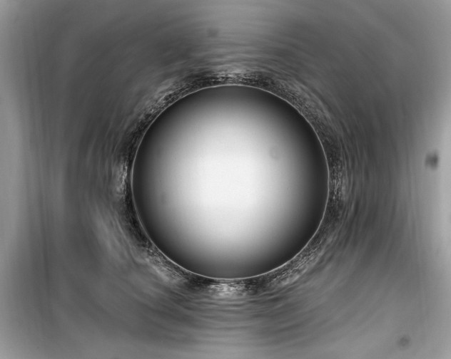 X0000099560660200805161454