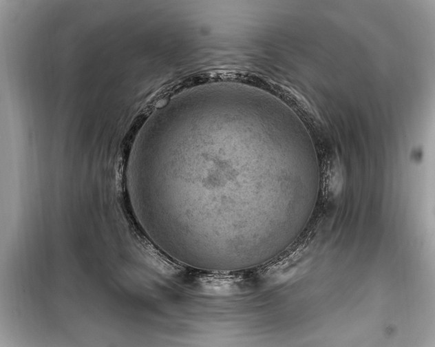 X0000099560661200805161454