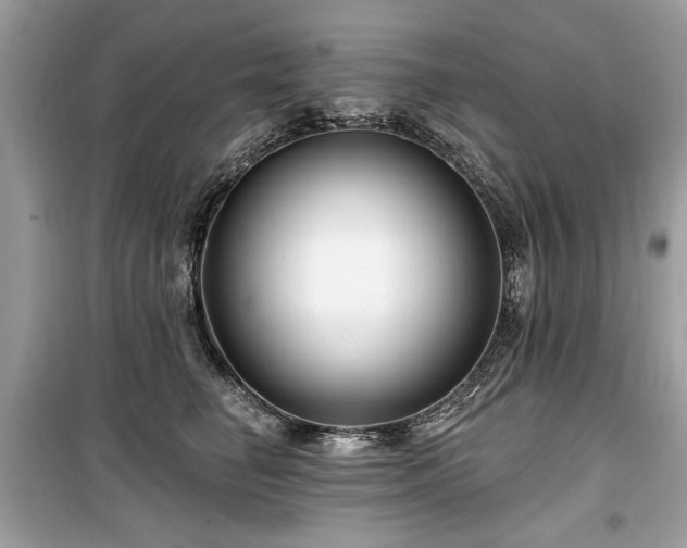 X0000099560662200805161454