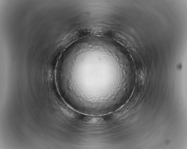 X0000099560663200805161454