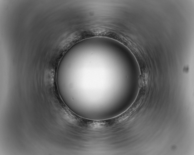 X0000099560664200805161454