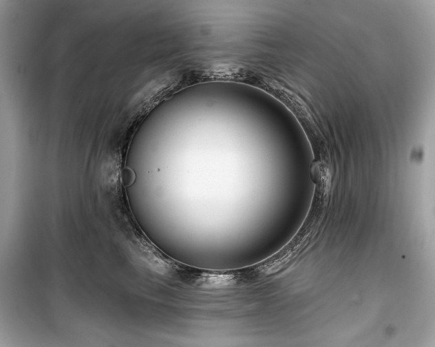 X0000099560665200805161454